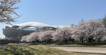 新潟市の外壁塗装業者おすすめ3選！口コミ・評判も紹介